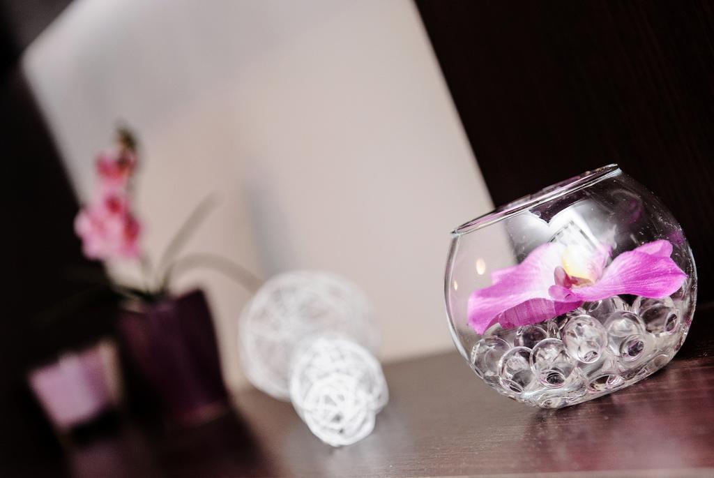Apartment Stanic - "Home Away From Home" Σπλιτ Εξωτερικό φωτογραφία
